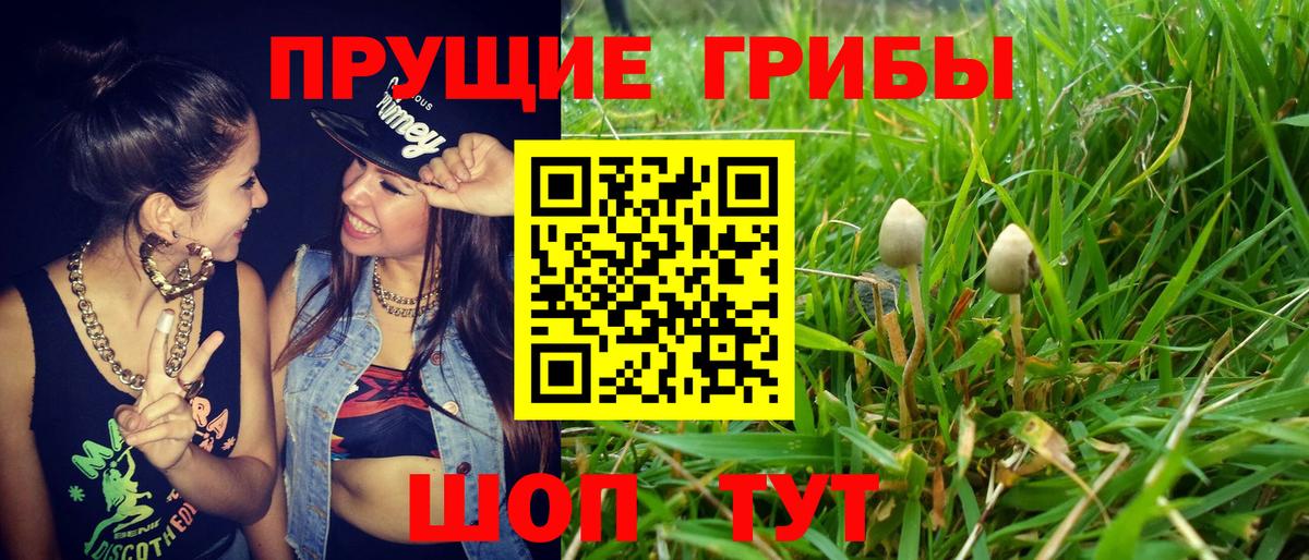 Псилоцибиновые грибы Magic Shrooms Богородск